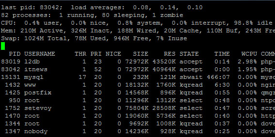 freebsd_top