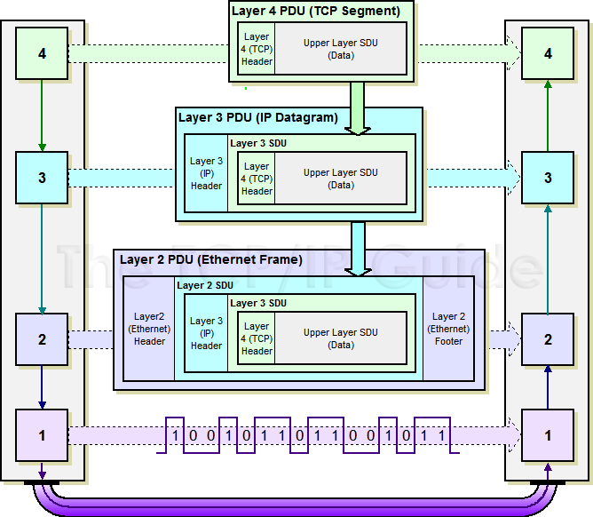 На каких уровнях модели osi работает технология ethernet